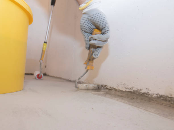 Best Pest Prevention Services  in Effingham, IL